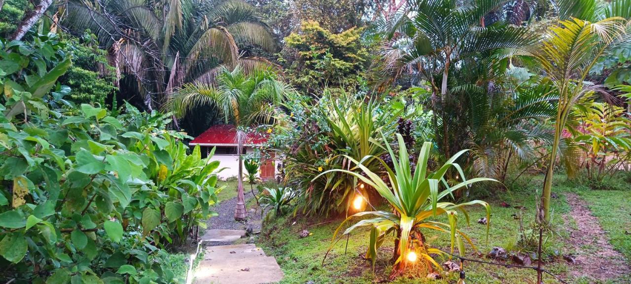 Selva Linda Lodge Vacation Rentals เกโปส ภายนอก รูปภาพ