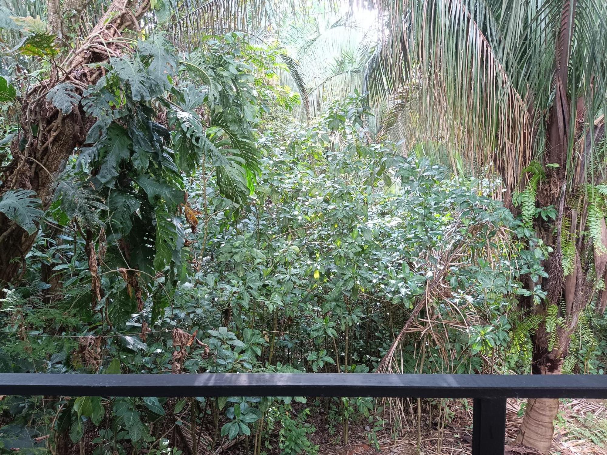 Selva Linda Lodge Vacation Rentals เกโปส ภายนอก รูปภาพ