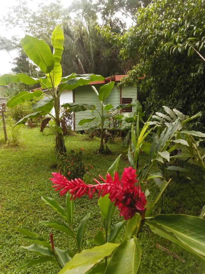 Selva Linda Lodge Vacation Rentals เกโปส ภายนอก รูปภาพ