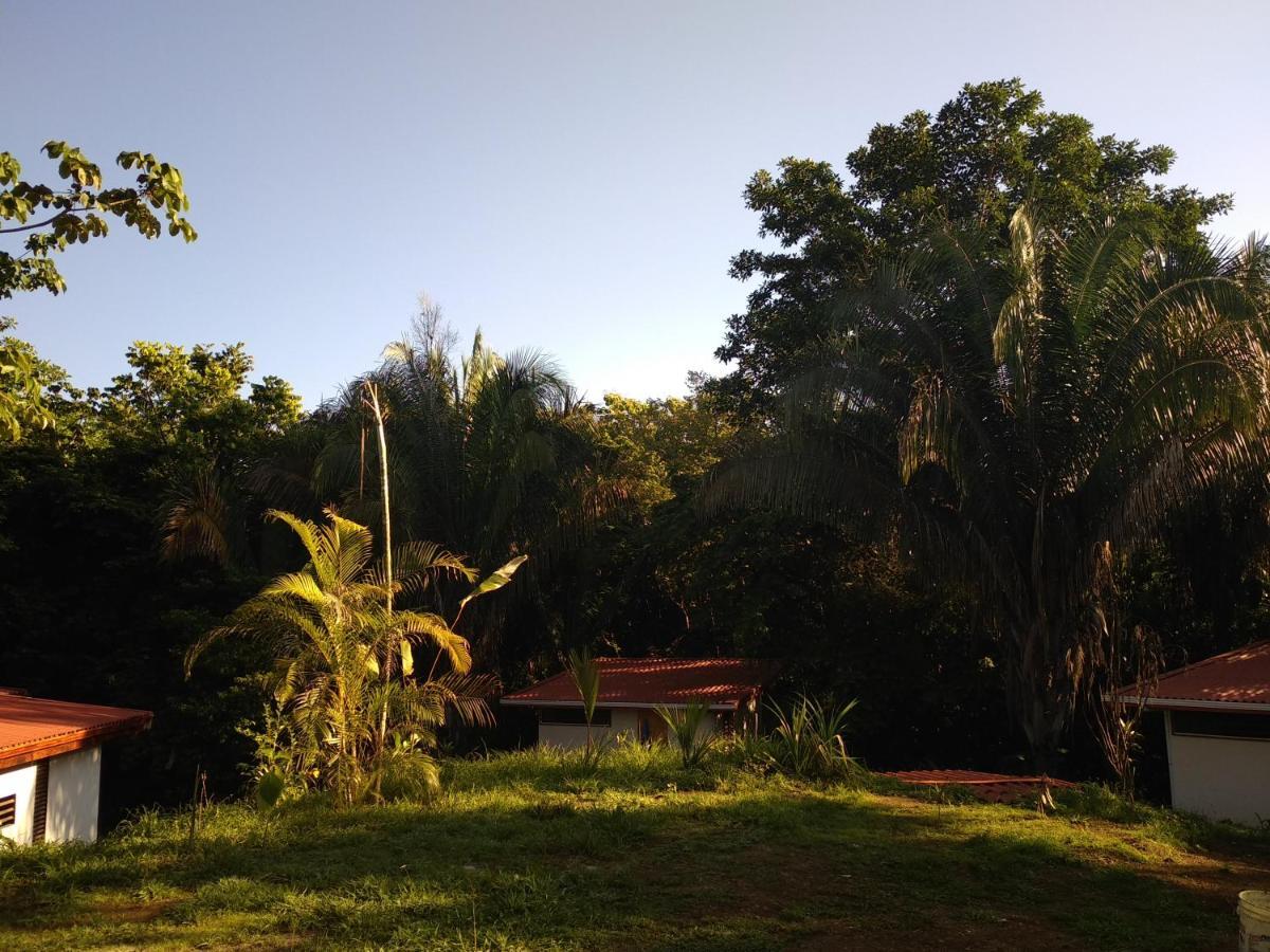Selva Linda Lodge Vacation Rentals เกโปส ภายนอก รูปภาพ